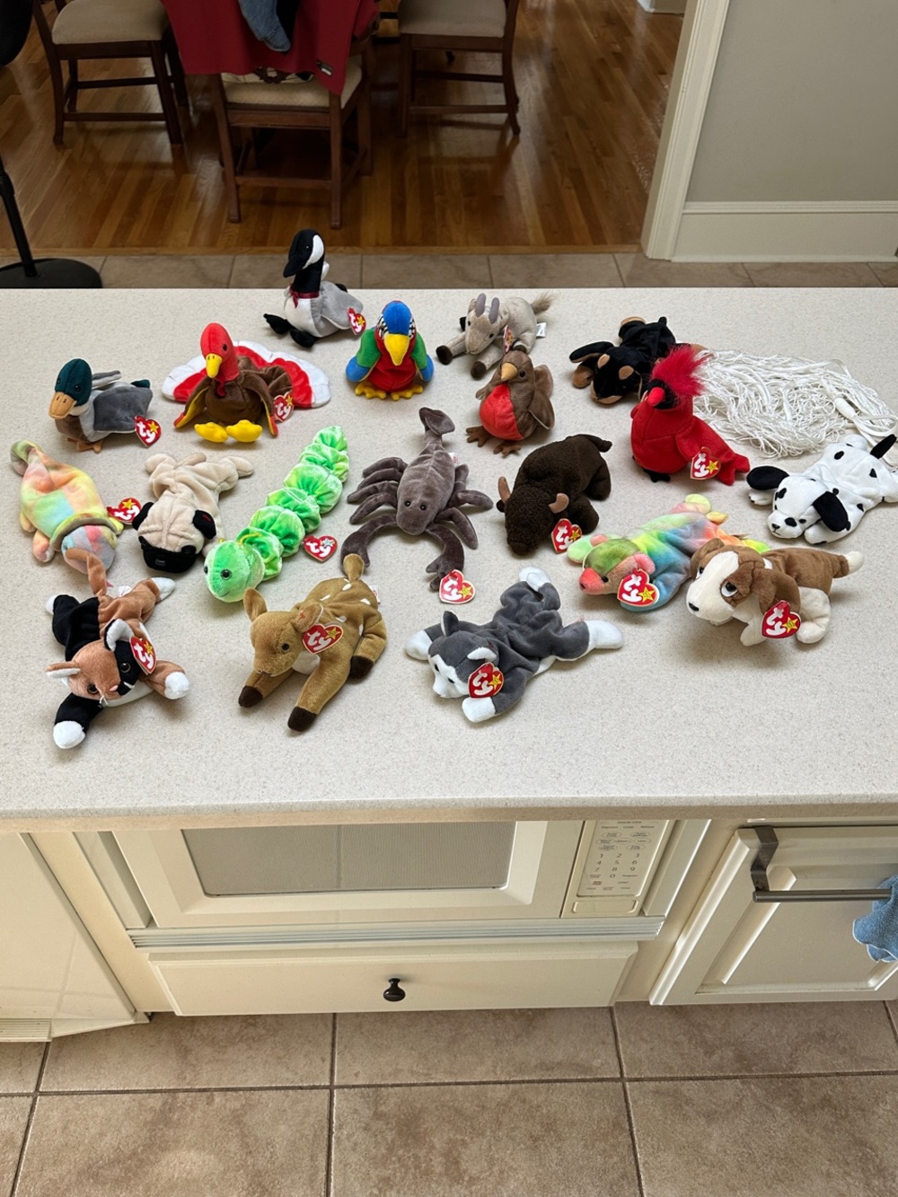 Ty Multicolor BEANIE BABY Plush Lot